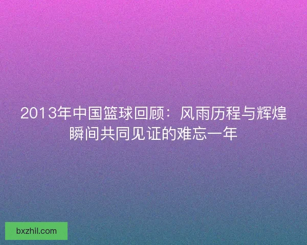 2013年中国篮球回顾：风雨历程与辉煌瞬间共同见证的难忘一年