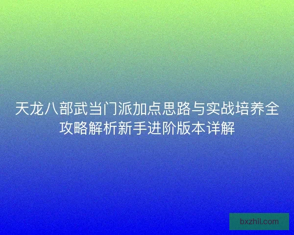 天龙八部武当门派加点思路与实战培养全攻略解析新手进阶版本详解