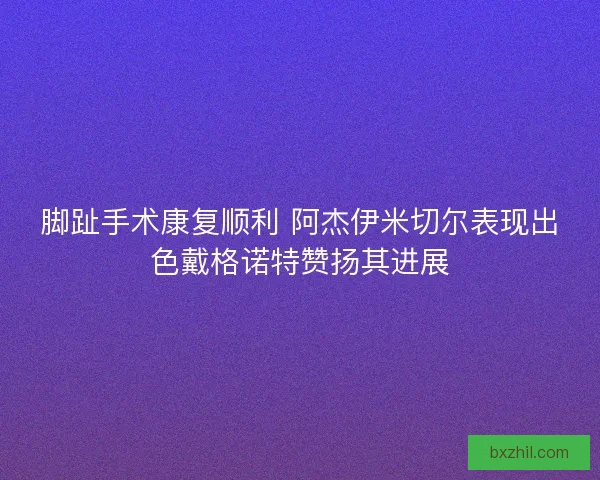 脚趾手术康复顺利 阿杰伊米切尔表现出色戴格诺特赞扬其进展