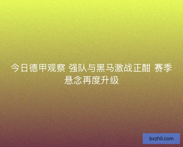 今日德甲观察 强队与黑马激战正酣 赛季悬念再度升级
